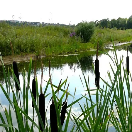 Duplex Les Berges De Marne